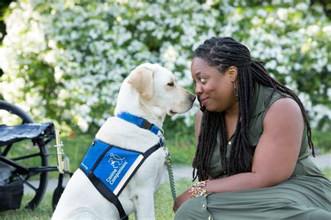 Canine companions. Things To Know About Canine companions. 